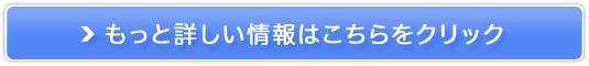 z悭⋋}CNj[hpb`̔TCg